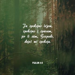 Psalms 4:8 NCV