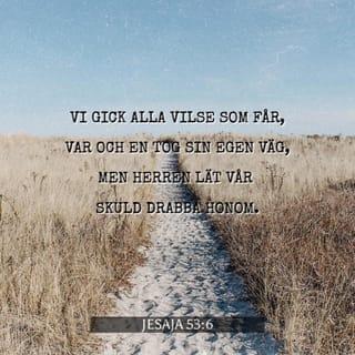 Jesaja 53:6 B2000