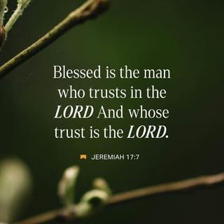 Jeremiah 17:7-8 - “But I will bless the person
who puts his trust in me.
He is like a tree growing near a stream
and sending out roots to the water.
It is not afraid when hot weather comes,
because its leaves stay green;
it has no worries when there is no rain;
it keeps on bearing fruit.
