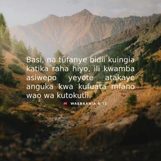 Ebr 4:11 - Basi, na tufanye bidii kuingia katika raha ile, ili kwamba mtu ye yote asije akaanguka kwa mfano uo huo wa kuasi.