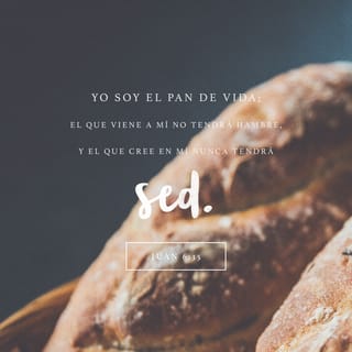 San Juan 6:35 - Y Jesús les dijo:
—Yo soy el pan que da vida. El que viene a mí, nunca tendrá hambre; y el que cree en mí, nunca tendrá sed.
