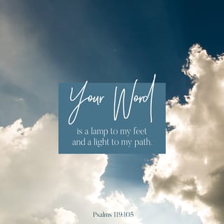 Psalms 119:105 - Thy word is a lamp unto my feet,
And light unto my path.