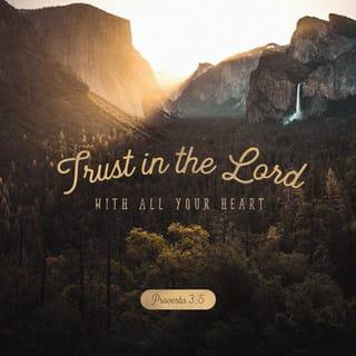 Proverbs 3:5-7 - Trust in the LORD with all your heart
and lean not on your own understanding;
in all your ways submit to him,
and he will make your paths straight.

Do not be wise in your own eyes;
fear the LORD and shun evil.