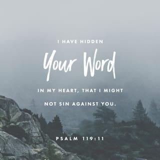 Psalms 119:11 - In my heart I have hidden your word,
so that I may not sin against you.