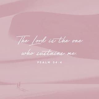 Psalms 54:4 - Behold, God is my helper.
The Lord is the one who sustains my soul.