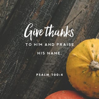 Psalms 100:4 - Enter his gates with thanksgiving,
his courts with praise.
Give thanks to him, bless his name