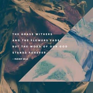 Isaiah 40:8 - The grass withers, the flower fades, but the word of our God will stand forever. [James 1:10, 11; I Pet. 1:24, 25.]