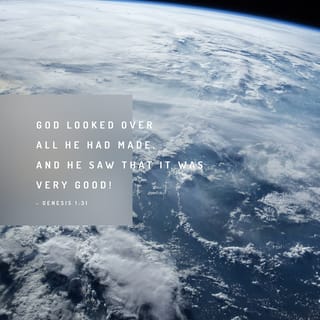 Genesis 1:31 - God looked at what he had done. All of it was very good! Evening came, then morning—that was the sixth day.