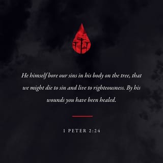 1 Peter 2:24-25 - He personally carried our sins
in his body on the cross
so that we can be dead to sin
and live for what is right.
By his wounds
you are healed.
Once you were like sheep
who wandered away.
But now you have turned to your Shepherd,
the Guardian of your souls.