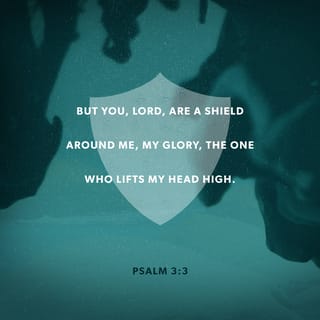 Psalms 3:3-4 - But you, LORD, are a shield around me,
my glory, the One who lifts my head high.
I call out to the LORD,
and he answers me from his holy mountain.