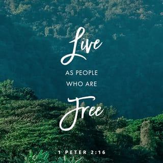 1 Peter 2:16 - As God’s loving servants, you should live in complete freedom, but never use your freedom as a cover-up for evil.