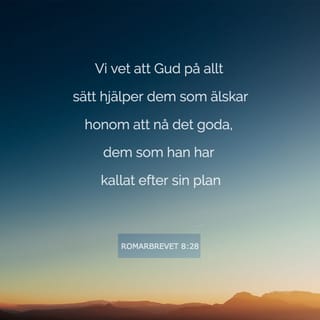 Romarbrevet 8:28-30 B2000