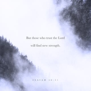 Isaiah 40:31 - But those who hope in the Lord will renew their strength. They will take up wings like eagles. They will run and not struggle. They will walk and not tire.