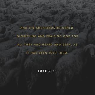 Luke 2:19-20 - Mary kept all these things to herself, holding them dear, deep within herself. The shepherds returned and let loose, glorifying and praising God for everything they had heard and seen. It turned out exactly the way they’d been told!