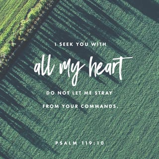 Psalm 119:10 - With my whole heart have I sought thee:
O let me not wander from thy commandments.
