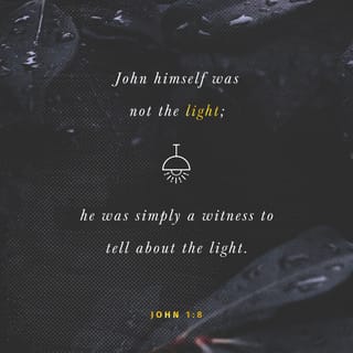 John 1:8-10 - He himself was not the light; he came only as a witness to the light.
The true light that gives light to everyone was coming into the world. He was in the world, and though the world was made through him, the world did not recognize him.