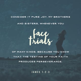 James 1:2-5 - Consider it pure joy, my brothers and sisters, whenever you face trials of many kinds, because you know that the testing of your faith produces perseverance. Let perseverance finish its work so that you may be mature and complete, not lacking anything. If any of you lacks wisdom, you should ask God, who gives generously to all without finding fault, and it will be given to you.