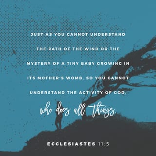 Ecclesiastes 11:4-5 - He that observeth the wind shall not sow; and he that regardeth the clouds shall not reap. As thou knowest not what is the way of the spirit, nor how the bones do grow in the womb of her that is with child: even so thou knowest not the works of God who maketh all.