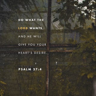 Psalms 37:4 - Seek your happiness in the LORD,
and he will give you your heart's desire.