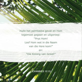 Johannes 12:13 - Met palmtakke in die hand het hulle die hele pad geskreeu: “Ons prys U, U is baie spesiaal! U kom omdat die Here dit wil hê, U is die koning van Israel.”