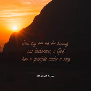 PSALMS 84:10 - O God, ons beskermer, kyk tog,
betoon genade
aan u gesalfde!
