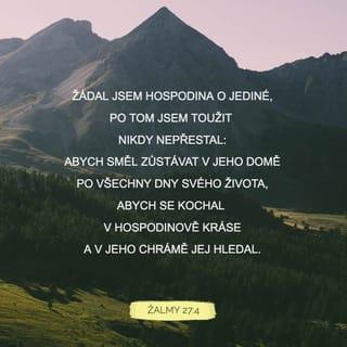 Žalmy 27:4 B21