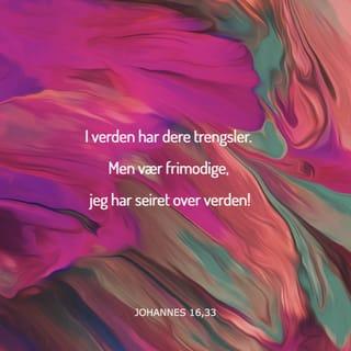Johannes 16:33 NB