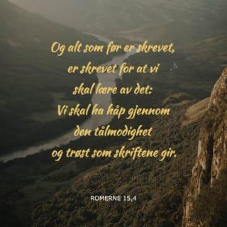Romerne 15:4 - Og alt som før er skrevet, er skrevet for at vi skal lære av det: Vi skal ha håp gjennom det tålmod og den trøst som skriftene gir.