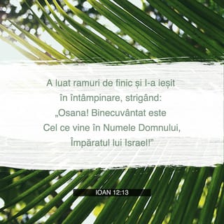 Ioan 12:13 - a luat ramuri de palmier și L-a întâmpinat, strigând: „Osana! Cel care vine în numele lui Iahve – Regele lui Israel! El este binecuvântat!”