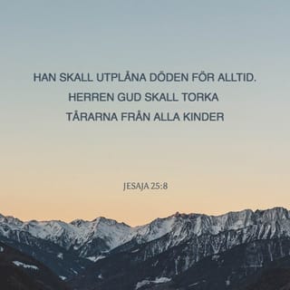 Jesaja 25:8 B2000
