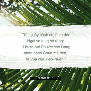 Giăng 12:13 - liền lũ lượt kéo ra đường, mỗi người cầm cành cây cọ đi đón Chúa. Dân chúng nô nức tung hô:
“Chúc tụng Đức Chúa Trời!
Phước cho Đấng nhân danh Chúa Hằng Hữu mà đến!
Hoan hô Vua Ít-ra-ên!”