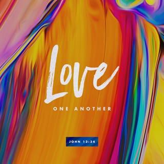 John 13:34 - “I give you a new command: Love each other. You must love each other as I have loved you.