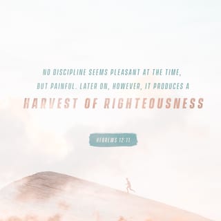 Hebrews 12:10-11 - They disciplined us for a little while as they thought best; but God disciplines us for our good, in order that we may share in his holiness. No discipline seems pleasant at the time, but painful. Later on, however, it produces a harvest of righteousness and peace for those who have been trained by it.
