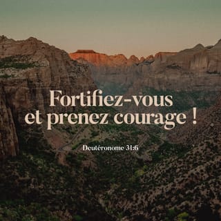 Deutéronome 31:6 - Fortifiez-vous et prenez courage! N’ayez pas peur et ne soyez pas effrayés devant eux, car l'Eternel, ton Dieu, marchera lui-même avec toi. Il ne te délaissera pas, il ne t'abandonnera pas.»