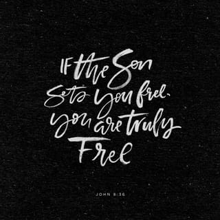 John 8:36 - So if a son frees you, then you will truly be free.
