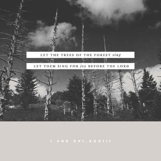 1 Chronicles 16:33 - Let the trees of the forest sing,
let them sing for joy before the LORD,
for he comes to judge the earth.