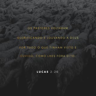 Lucas 2:20 - Os pastores voltaram, glorificando e louvando a Deus por tudo que tinham visto e ouvido. Tudo aconteceu como o anjo lhes havia anunciado.