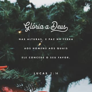 Lucas 2:14 - “Glória a Deus nas maiores alturas, e paz na terra para todos aqueles que ele quer bem”.