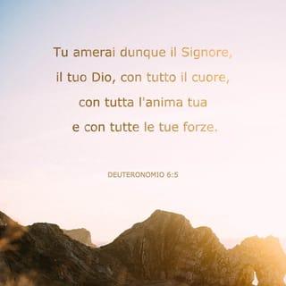 Deuteronomio 6:5 NR06