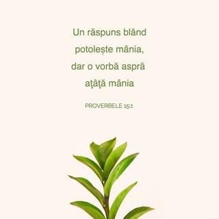 Proverbele 15:1 VDC