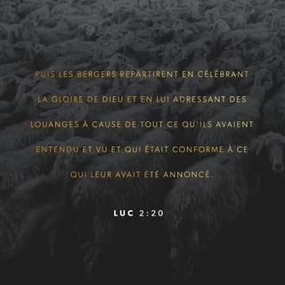 Luc 2:20 - Et les bergers s'en retournèrent, glorifiant et louant Dieu de toutes les choses qu'ils avaient entendues et vues, selon qu'il leur en avait été parlé.