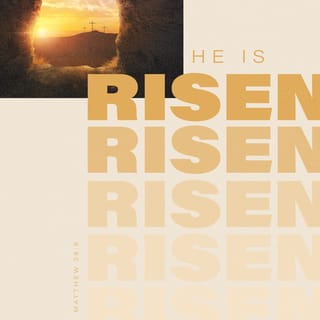 Matthew 28:5-8 - The angel said to the women, “Do not be afraid, for I know that you are looking for Jesus, who was crucified. He is not here; he has risen, just as he said. Come and see the place where he lay. Then go quickly and tell his disciples: ‘He has risen from the dead and is going ahead of you into Galilee. There you will see him.’ Now I have told you.”
So the women hurried away from the tomb, afraid yet filled with joy, and ran to tell his disciples.