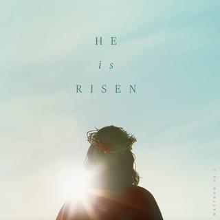 Matthew 28:5-6 - The angel said to the women, “Do not be afraid, for I know that you are looking for Jesus, who was crucified. He is not here; he has risen, just as he said. Come and see the place where he lay.