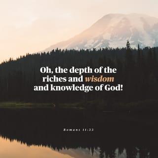 Romans 11:33-34 - Oh, the depth of the riches and wisdom and knowledge of God! How unsearchable are his judgments and how inscrutable his ways!

“For who has known the mind of the Lord,
or who has been his counselor?”