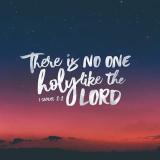 1 Samuel 2:2 - There is none holy as the LORD; for there is none beside thee: neither is there any rock like our God.