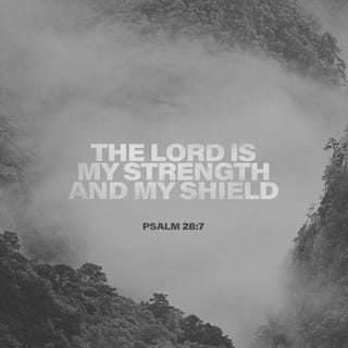 Psalms 28:7 - Yahweh is my strength and my shield.
My heart trusts him and I am helped.
So my heart rejoices,
and with my song I will give thanks to him.