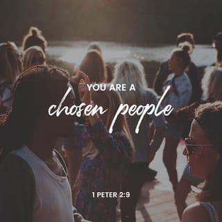 1 Peter 2:9 - But you are God’s chosen treasure —priests who are kings, a spiritual “nation” set apart as God’s devoted ones. He called you out of darkness to experience his marvelous light, and now he claims you as his very own. He did this so that you would broadcast his glorious wonders throughout the world.