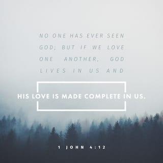 1 John 4:12 - No one has ever seen God, but if we love one another, God lives in union with us, and his love is made perfect in us.