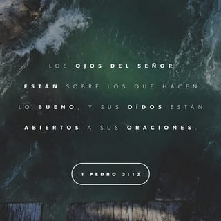 1 Pedro 3:12-13 RVR1960
