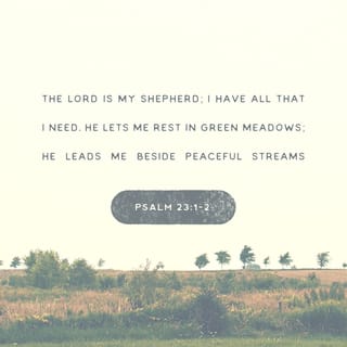 Psalm 23:1-6 - The LORD is my shepherd; I shall not want.
He maketh me to lie down in green pastures:
He leadeth me beside the still waters.
He restoreth my soul:

He leadeth me in the paths of righteousness for his name's sake.
Yea, though I walk through the valley of the shadow of death, I will fear no evil:
for thou art with me; Thy rod and thy staff they comfort me.

Thou preparest a table before me in the presence of mine enemies:
Thou anointest my head with oil; my cup runneth over.

Surely goodness and mercy shall follow me all the days of my life:
And I will dwell in the house of the LORD for ever.